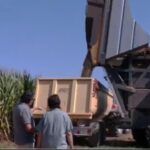 Agrotree en Aragón Televisión con el almendro superintensivo